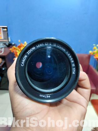 Canon 18-135 stm master lens